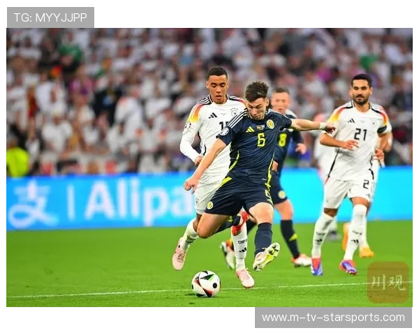 欧洲杯观众礼仪与赛场文明成为媒体关注点，欧洲杯观众席