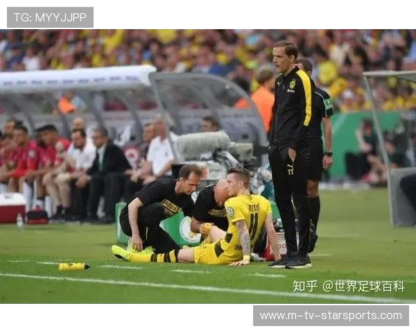 球队伤病名单与复出预测，足球伤病名单