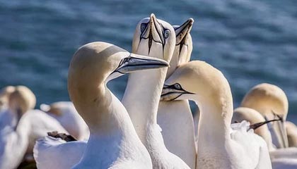 星空体育官网入口-中国男篮训练营开展专项投篮技术强化课程，篮球投篮训练师