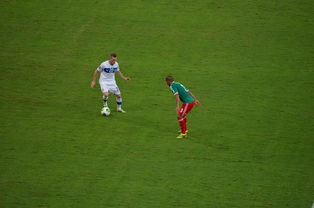 STARRYSKY SPORTS-哈兰德绝杀背后的训练与VAR争议，哈兰德生涯